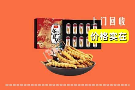 克孜勒苏乌恰县回收冬虫夏草